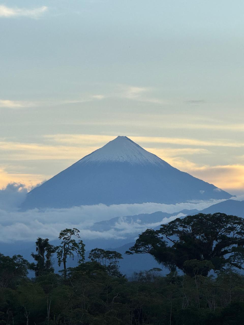 WhatsApp Image 2026-03-06 at 08.26.55